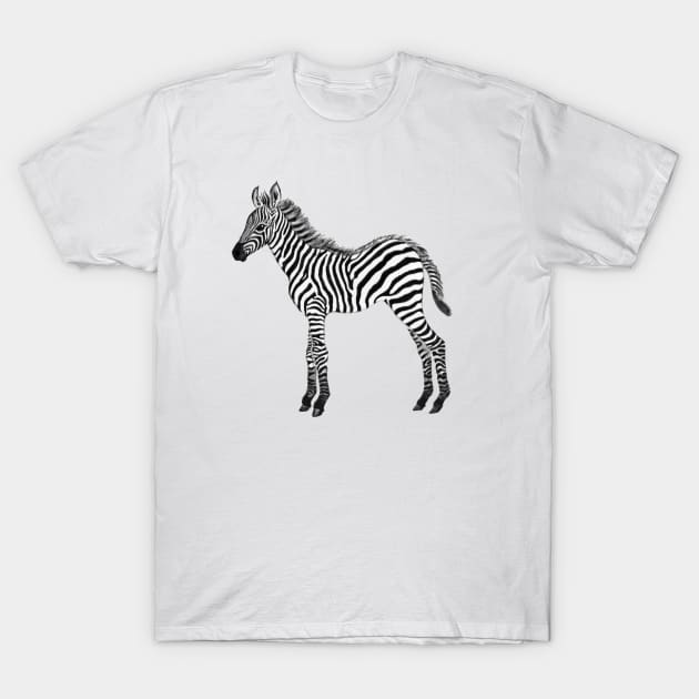 Zebra baby black & white watercolor painted realistic T-Shirt by LeanneTalbot